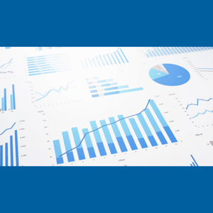 Numerous charts, including bar charts, line charts, and a pie chart