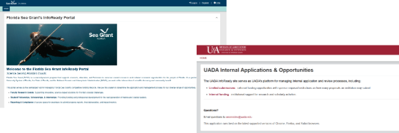 Newsletter images-74