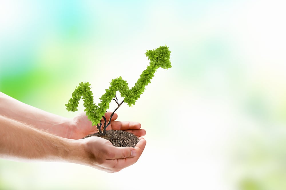 plant as graph growing up